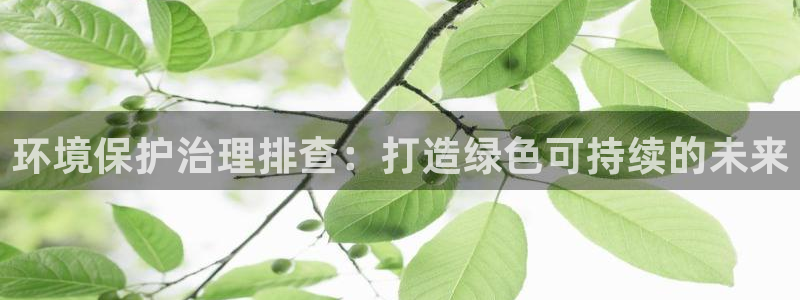 凯发网娱乐官网登录|环境保护治理排查：打造绿色可持续的未来